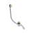 ARIN.3210GL.png