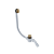 ARIN.3210CB.png