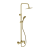 AREX.4181GB_zlota_szczotka_clever 2.0.png